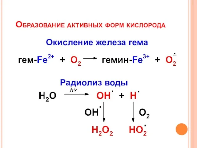 Образование активных форм кислорода Радиолиз воды Окисление железа гема