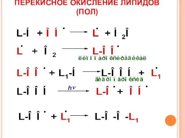 ПЕРЕКИСНОЕ ОКИСЛЕНИЕ ЛИПИДОВ (ПОЛ)