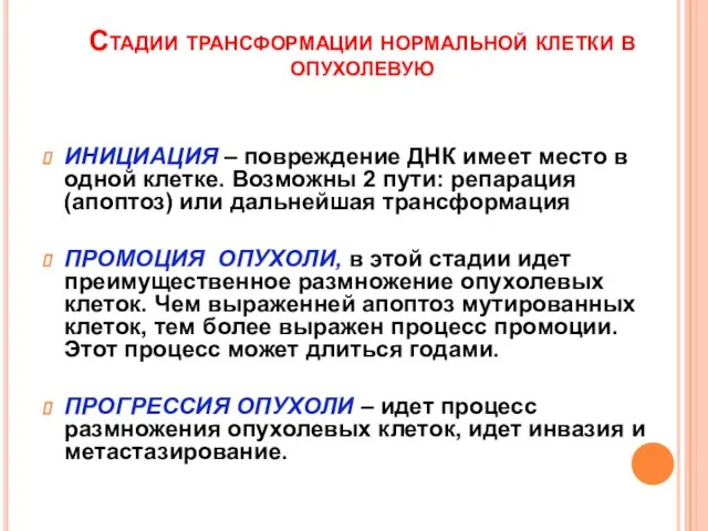 Стадии трансформации нормальной клетки в опухолевую ИНИЦИАЦИЯ – повреждение ДНК имеет