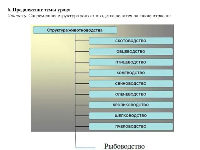 6. Продолжение темы урока Учитель. Современная структура животноводства делится на такие отрасли: