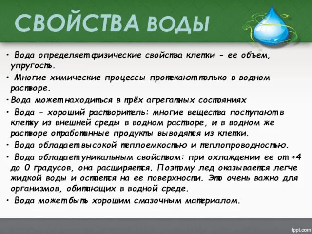 Вода определяет физические свойства клетки - ее объем, упругость. Многие химические