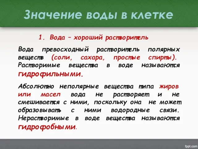 Значение воды в клетке Вода – хороший растворитель Вода превосходный растворитель