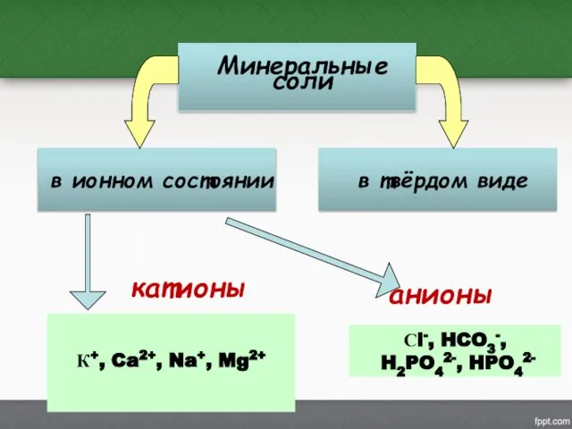 катионы анионы К+, Ca2+, Na+, Mg2+ Сl-, HCO3-, H2PO42-, HPO42-