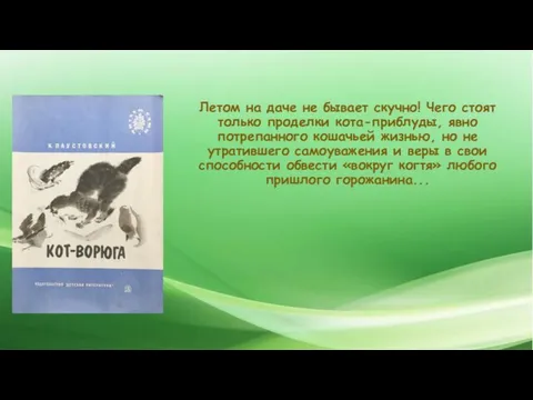 Летом на даче не бывает скучно! Чего стоят только проделки кота-приблуды,