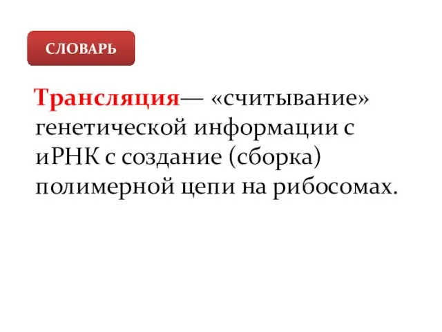 СЛОВАРЬ Трансляция— «считывание» генетической информации с иРНК с создание (сборка) полимерной цепи на рибосомах.