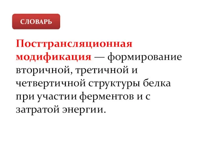 СЛОВАРЬ Посттрансляционная модификация — формирование вторичной, третичной и четвертичной структуры белка