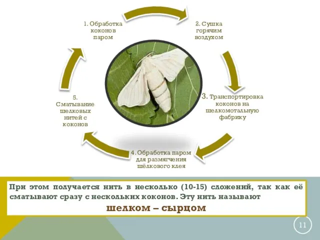 НА СООТНОШЕНИЕ ТКАНЕЙ В МЯСЕ ВЛИЯЕТ: При этом получается нить в