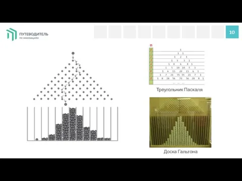 10 Доска Гальтона Треугольник Паскаля