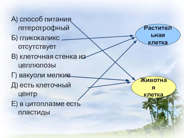 А) способ питания гетеротрофный Б) гликокаликс отсутствует В) клеточная стенка из