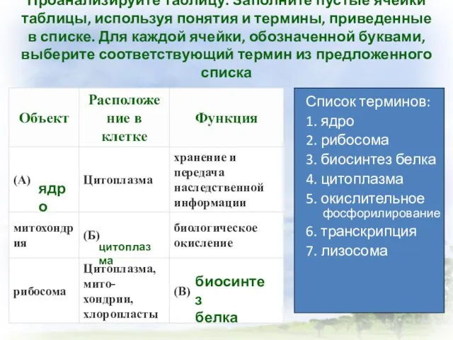 Проанализируйте таблицу. Заполните пустые ячейки таблицы, используя понятия и термины, приведенные