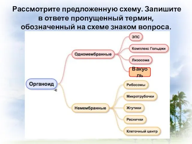 Рассмотрите предложенную схему. Запишите в ответе пропущенный термин, обозначенный на схеме знаком вопроса. Вакуоль