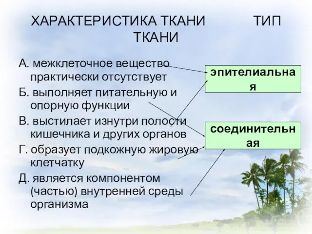 ХАРАКТЕРИСТИКА ТКАНИ ТИП ТКАНИ А. межклеточное вещество практически отсутствует Б. выполняет