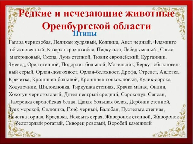 Редкие и исчезающие животные Оренбургской области Птицы Гагара чернозобая, Пеликан кудрявый,