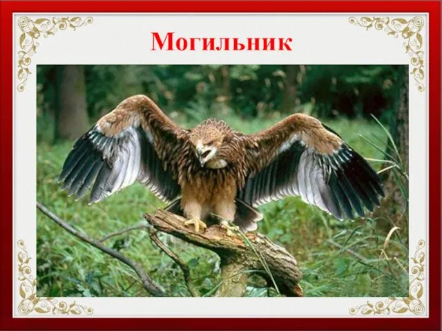 Могильник