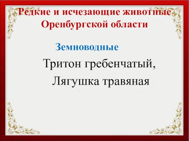 Редкие и исчезающие животные Оренбургской области Земноводные Тритон гребенчатый, Лягушка травяная