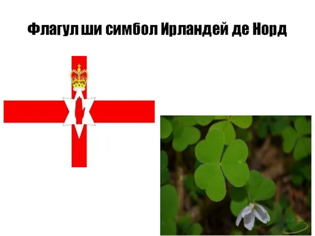 Флагул ши симбол Ирландей де Норд