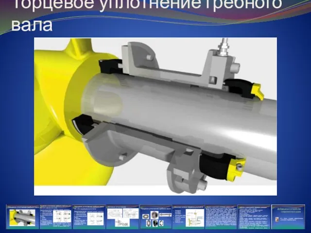 Торцевое уплотнение гребного вала