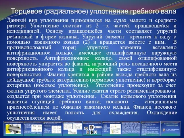 Торцевое (радиальное) уплотнение гребного вала Данный вид уплотнения применяется на судах