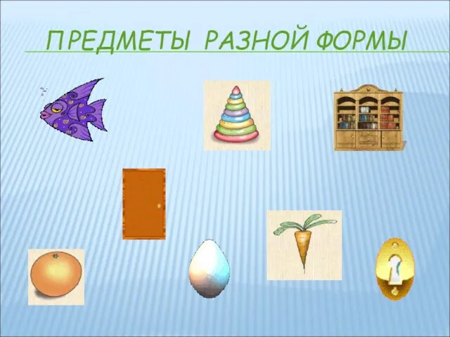 ПРЕДМЕТЫ РАЗНОЙ ФОРМЫ