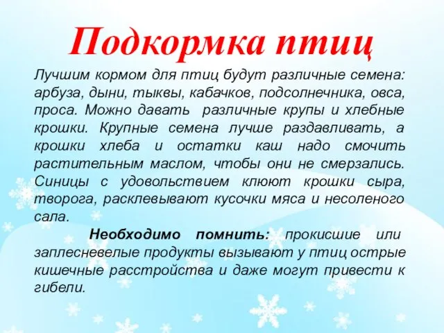 Лучшим кормом для птиц будут различные семена: арбуза, дыни, тыквы, кабачков,