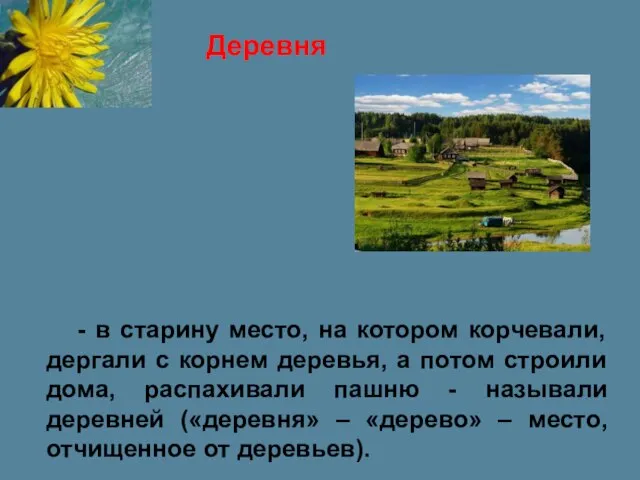 - в старину место, на котором корчевали, дергали с корнем деревья,