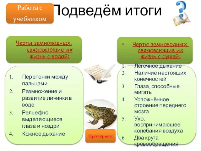 Подведём итоги Работа с учебником Черты земноводных, связывающие их жизнь с