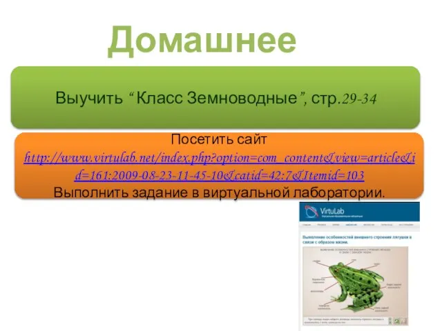 Домашнее задание. Выучить “ Класс Земноводные”, стр.29-34 Посетить сайт http://www.virtulab.net/index.php?option=com_content&view=article&id=161:2009-08-23-11-45-10&catid=42:7&Itemid=103 Выполнить задание в виртуальной лаборатории.