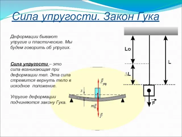 Сила упругости. Закон Гука Деформации бывают упругие и пластические. Мы будем