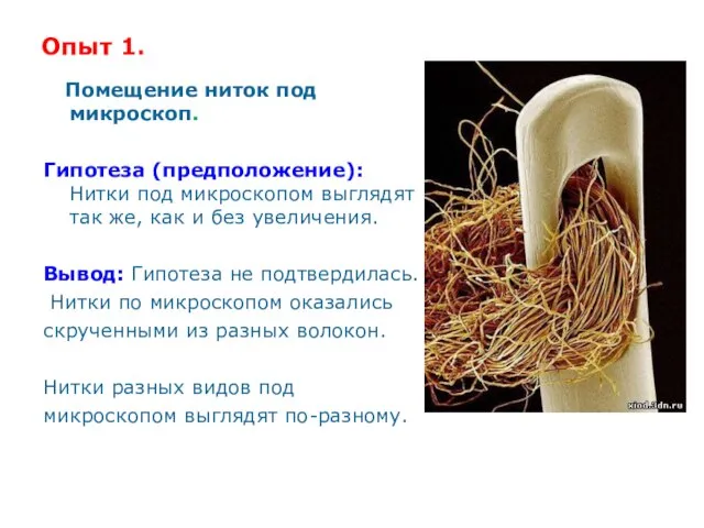 Опыт 1. Помещение ниток под микроскоп. Гипотеза (предположение): Нитки под микроскопом