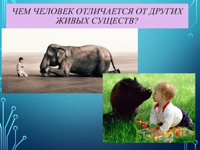 ЧЕМ ЧЕЛОВЕК ОТЛИЧАЕТСЯ ОТ ДРУГИХ ЖИВЫХ СУЩЕСТВ?