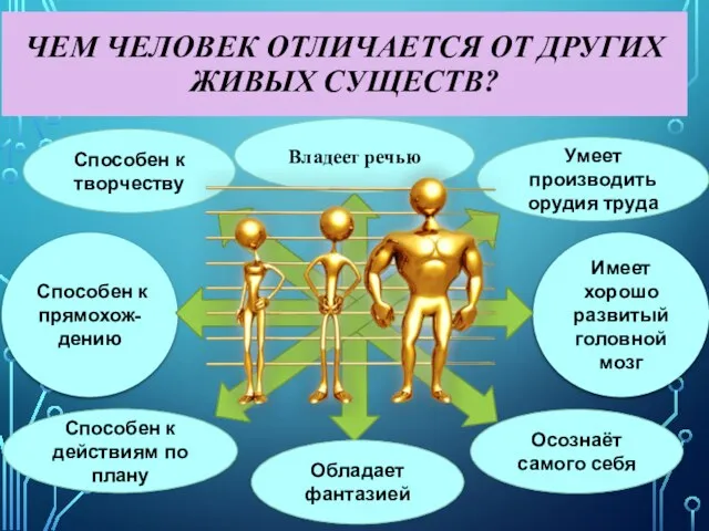 Имеет хорошо развитый головной мозг Способен к прямохож-дению ЧЕМ ЧЕЛОВЕК ОТЛИЧАЕТСЯ