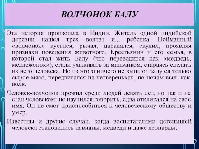 ВОЛЧОНОК БАЛУ Эта история произошла в Индии. Житель одной индийской деревни