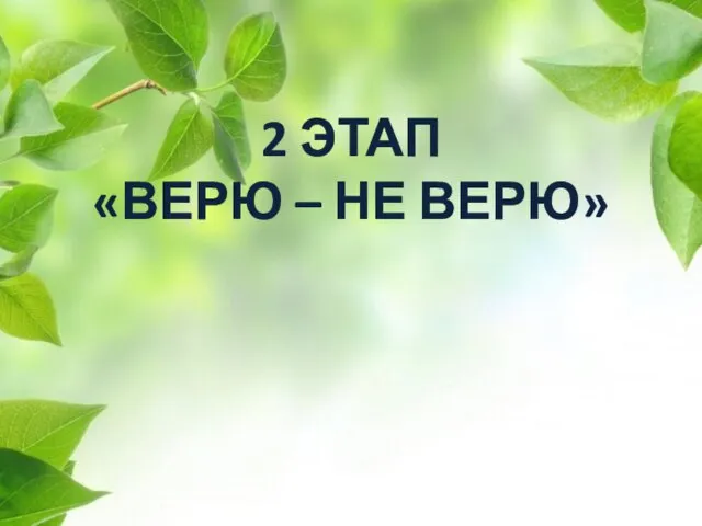 2 ЭТАП «ВЕРЮ – НЕ ВЕРЮ»