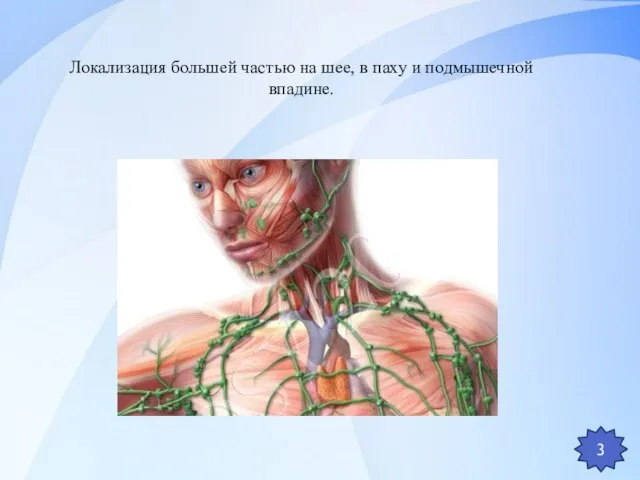 Локализация большей частью на шее, в паху и подмышечной впадине. 3