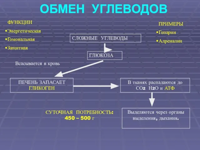 ОБМЕН УГЛЕВОДОВ ФУНКЦИИ Энергетическая Гомональная Защитная СЛОЖНЫЕ УГЛЕВОДЫ ГЛЮКОЗА ПЕЧЕНЬ ЗАПАСАЕТ