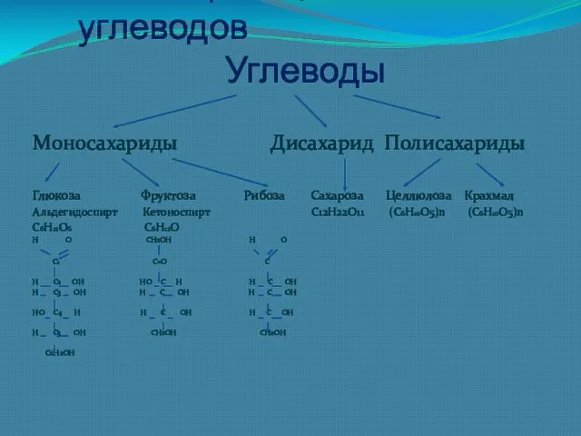 Классификация углеводов Углеводы Моносахариды Дисахарид Полисахариды Глюкоза Фруктоза Рибоза Сахароза Целлюлоза