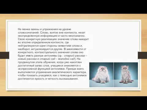 Не менее важны и упражнения на уровне словосочетаний. Слово, взятое вне