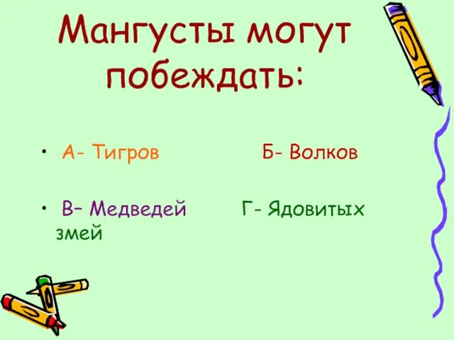 Мангусты могут побеждать: А- Тигров Б- Волков В– Медведей Г- Ядовитых змей