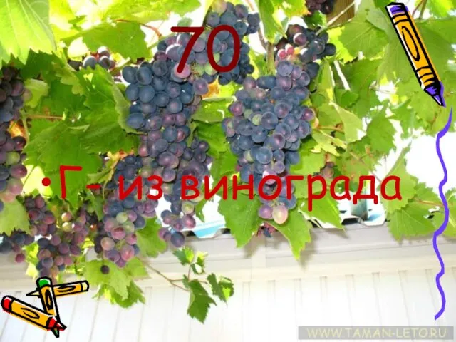 70 Г- из винограда