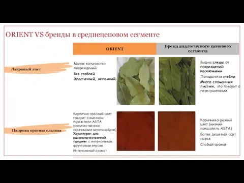 ORIENT VS бренды в среднеценовом сегменте Видны следы от повреждений насекомыми