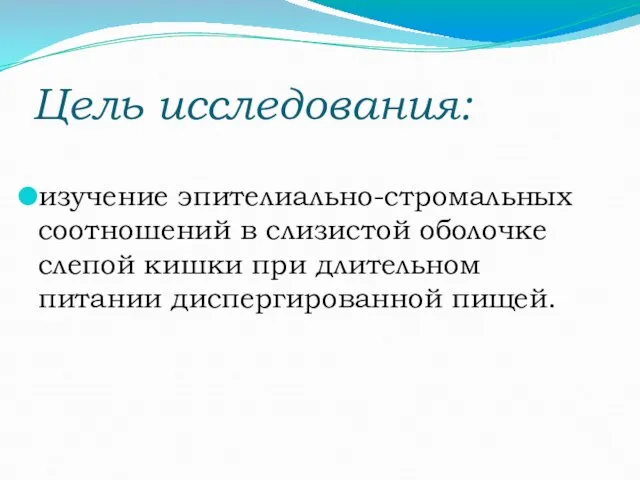 Цель исследования: изучение эпителиально-стромальных соотношений в слизистой оболочке слепой кишки при длительном питании диспергированной пищей.