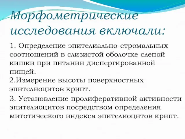 Морфометрические исследования включали: 1. Определение эпителиально-стромальных соотношений в слизистой оболочке слепой