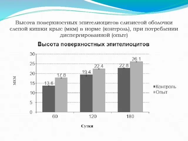 Высота поверхностных эпителиоцитов слизистой оболочки слепой кишки крыс (мкм) в норме (контроль), при потреблении диспергированной (опыт)