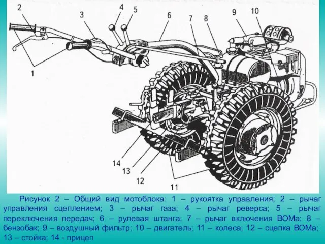 Рисунок 2 – Общий вид мотоблока: 1 – рукоятка управления; 2