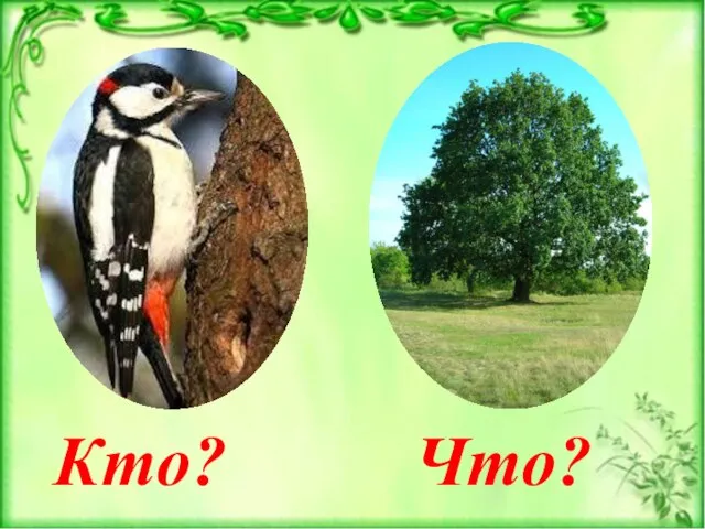 Кто? Что?