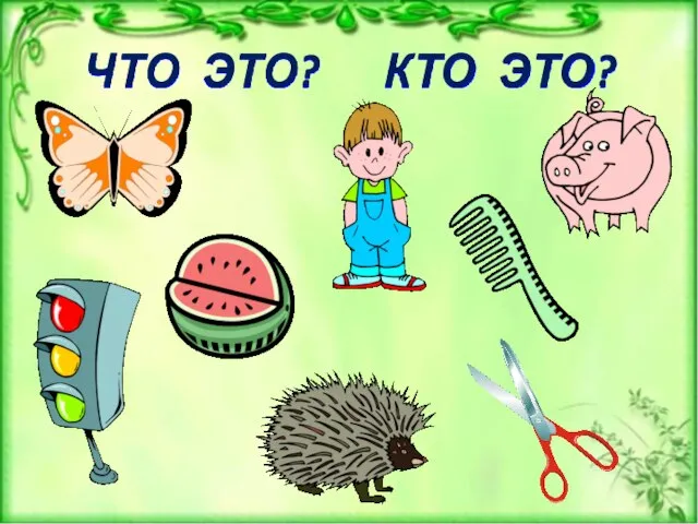 ЧТО ЭТО? КТО ЭТО?