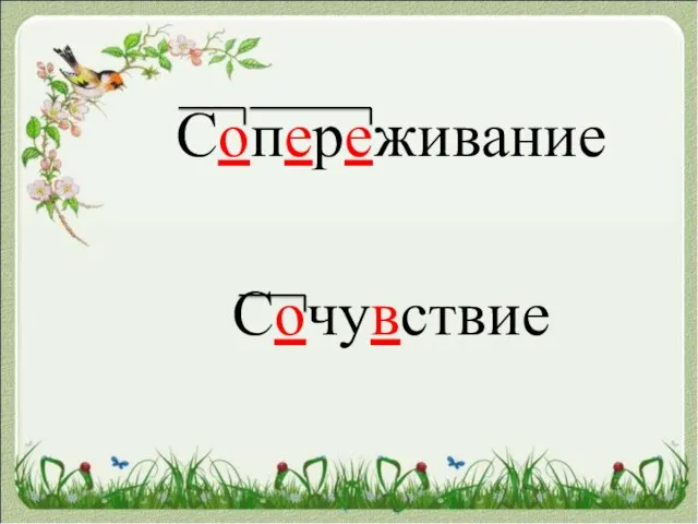 Сопереживание Сочувствие