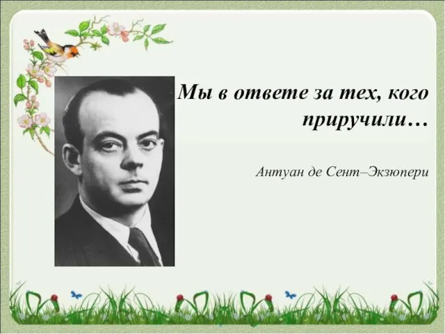 Мы в ответе за тех, кого приручили… Антуан де Сент–Экзюпери