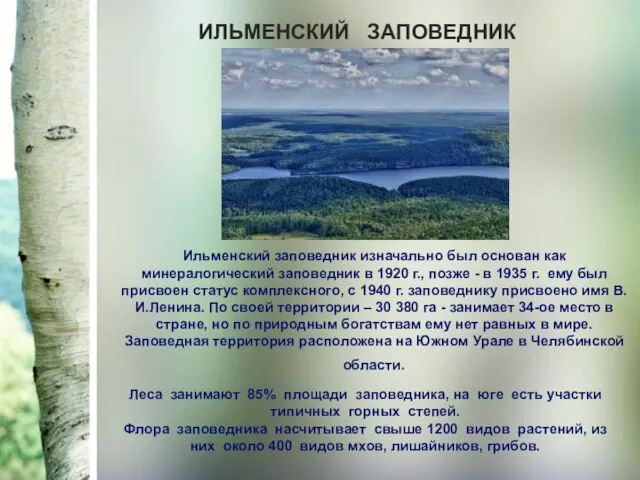 ИЛЬМЕНСКИЙ ЗАПОВЕДНИК Леса занимают 85% площади заповедника, на юге есть участки