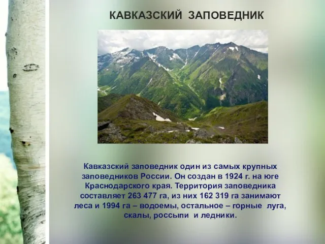 КАВКАЗСКИЙ ЗАПОВЕДНИК Кавказский заповедник один из самых крупных заповедников России. Он